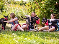 Adoptuj Warszawiaka  Wydarzenie promujące adopcję zwierząt. Organizator: Schronisko dla Bezdomnych Zwierząt "Na Paluchu". 18 sierpnia 2019, Park Raszyński w Raszynie. : park raszyński, adoptuj warszawiaka, na paluchu, schronisko dla zwierząt, centrum warszawy, raszyn